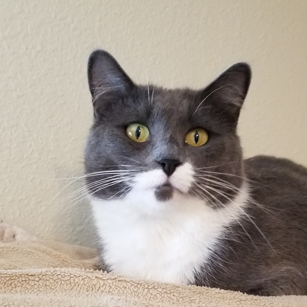 Meet your Posher, Lezlie